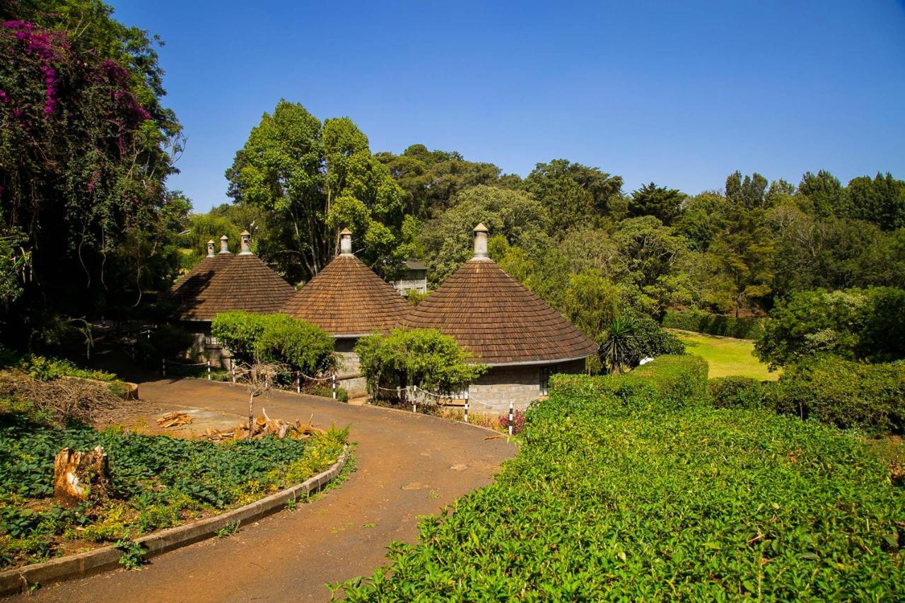 Thayu Farm Hotel Limuru المظهر الخارجي الصورة